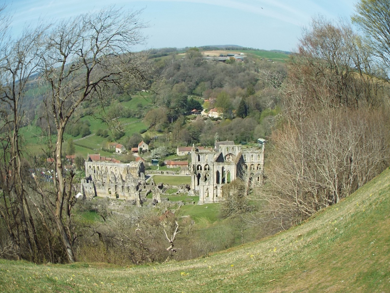 Rievaulx Abbey