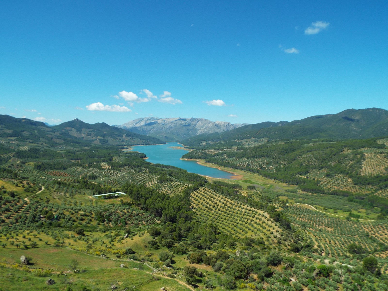 The Tranco dam