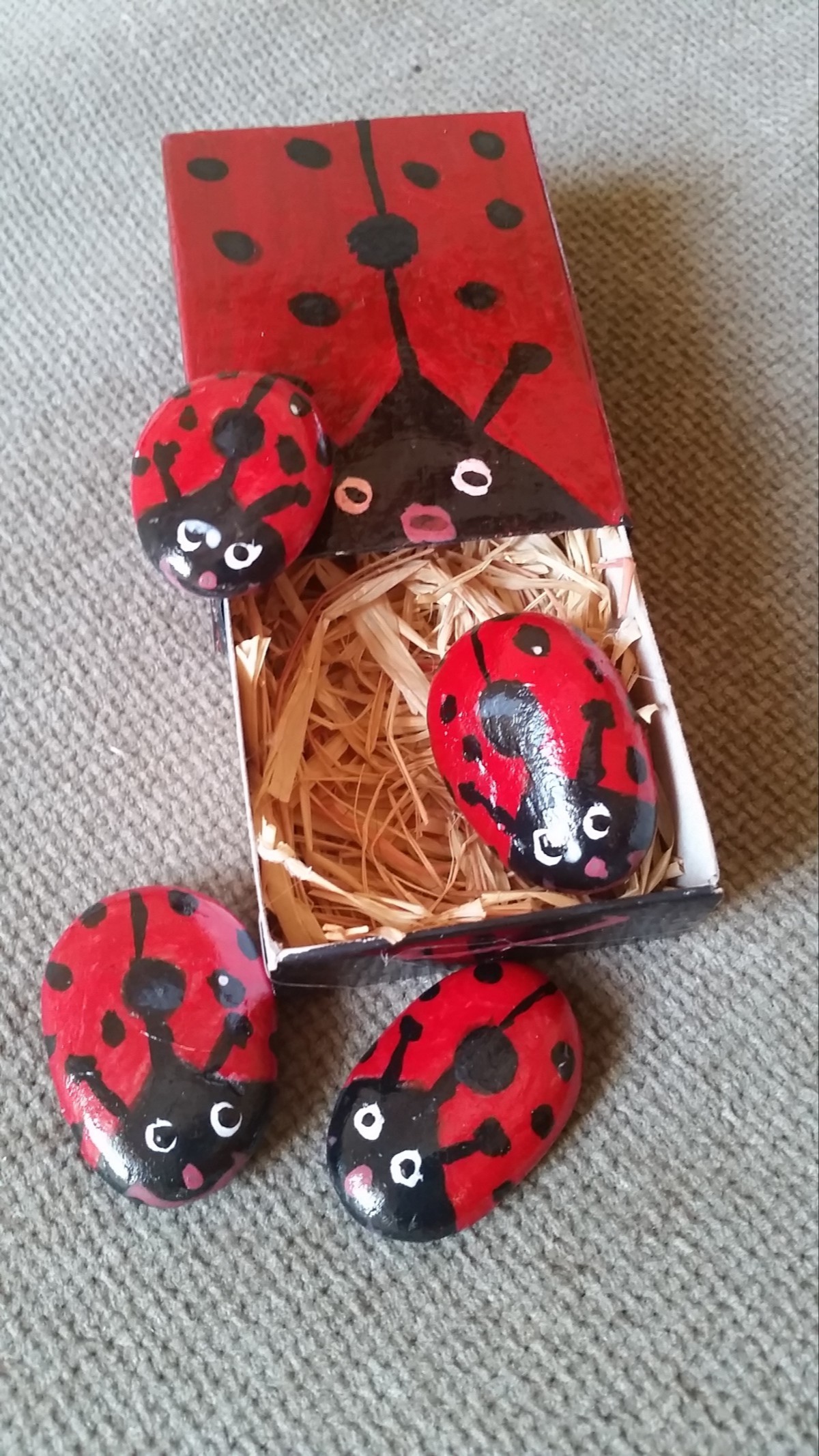 Pebble ladybirds