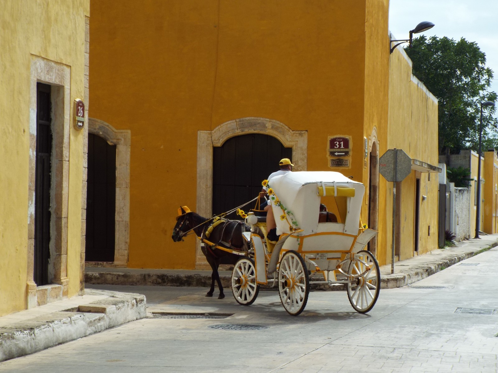 Horse drawn cart