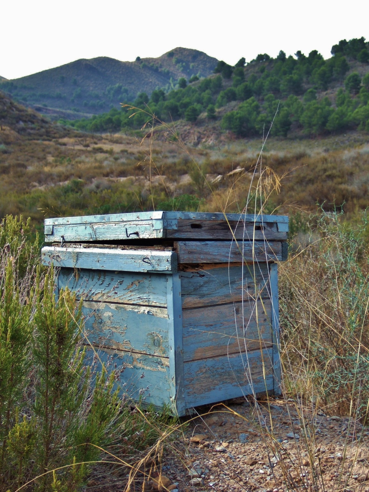 Wood beehive