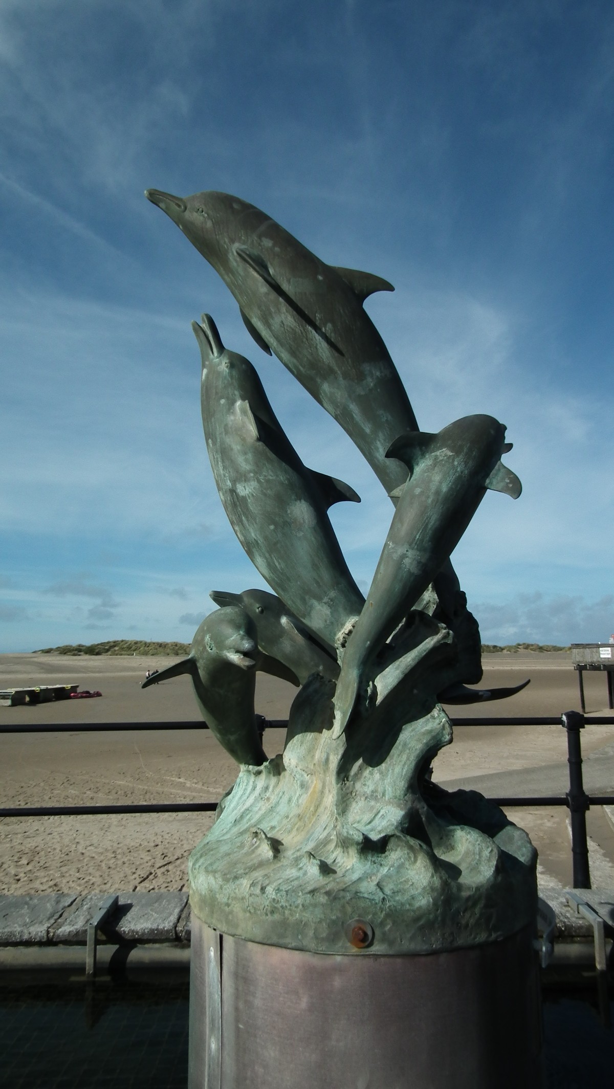 Barmouth dolphins