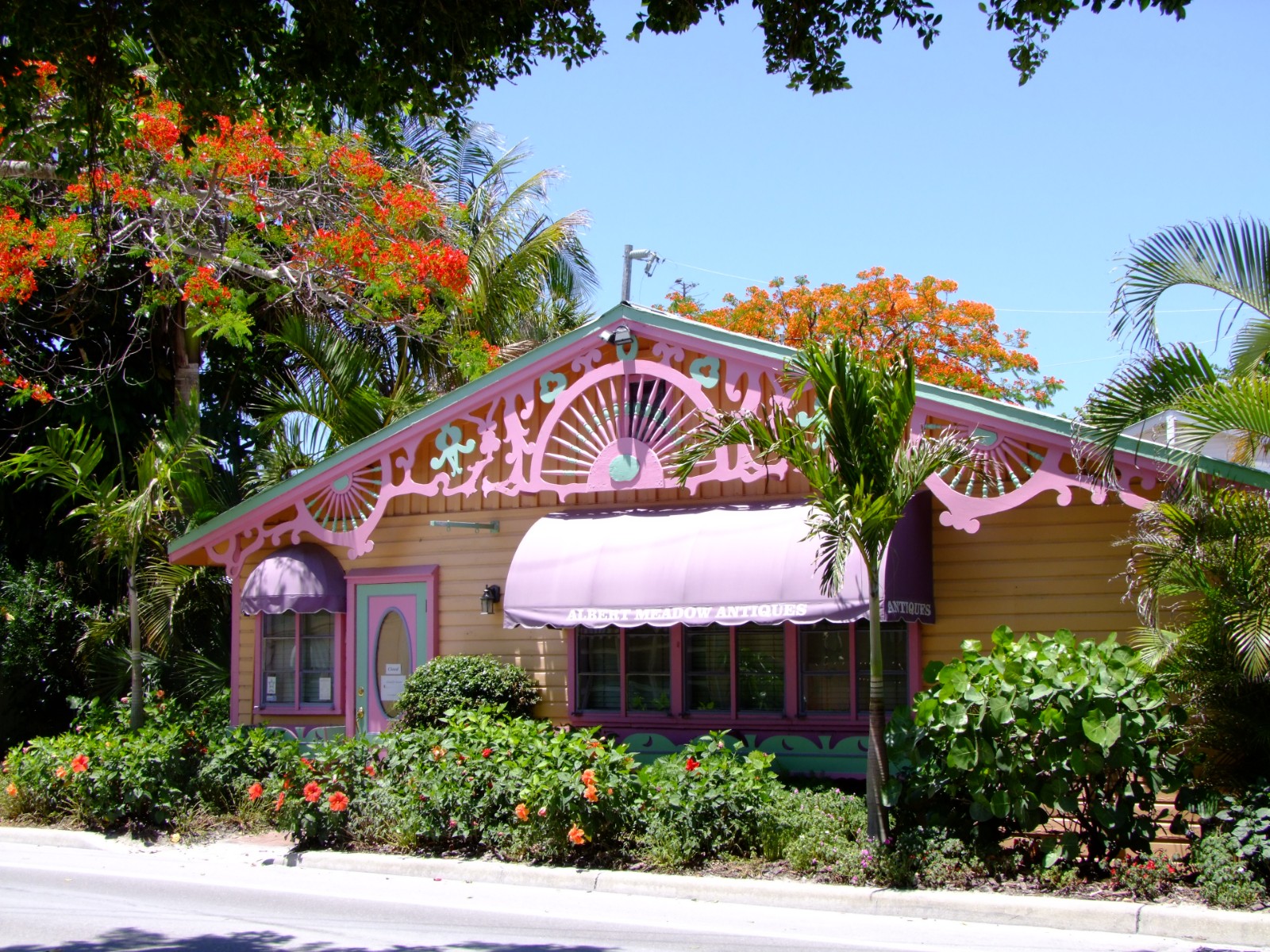 Pretty in pink