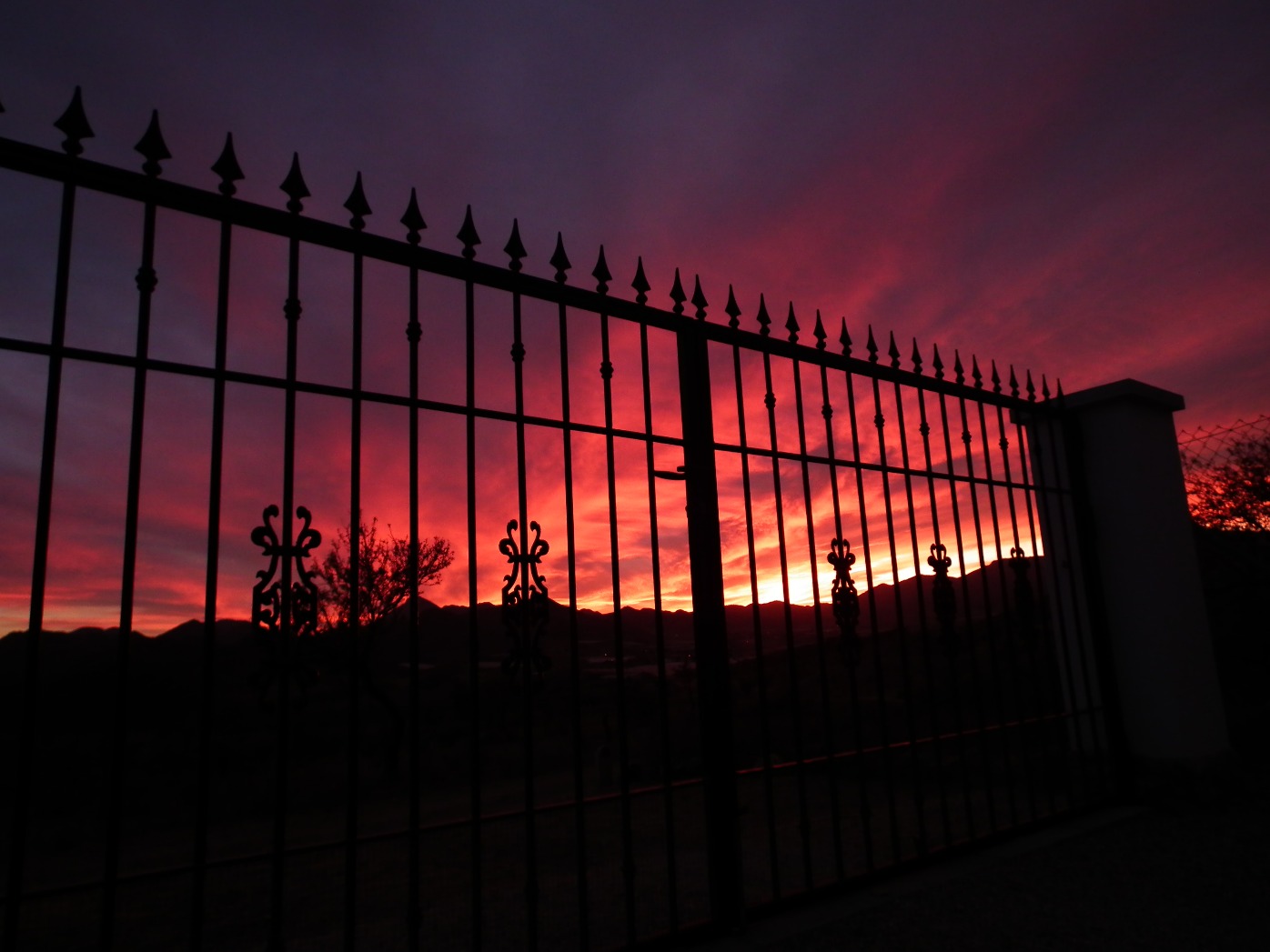 Garden Gate Sunset