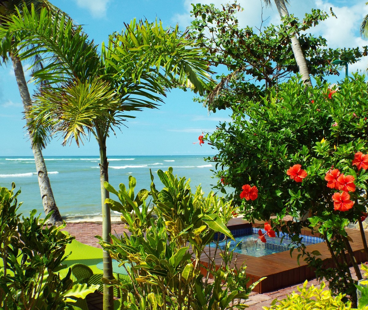 Beach View Gardens