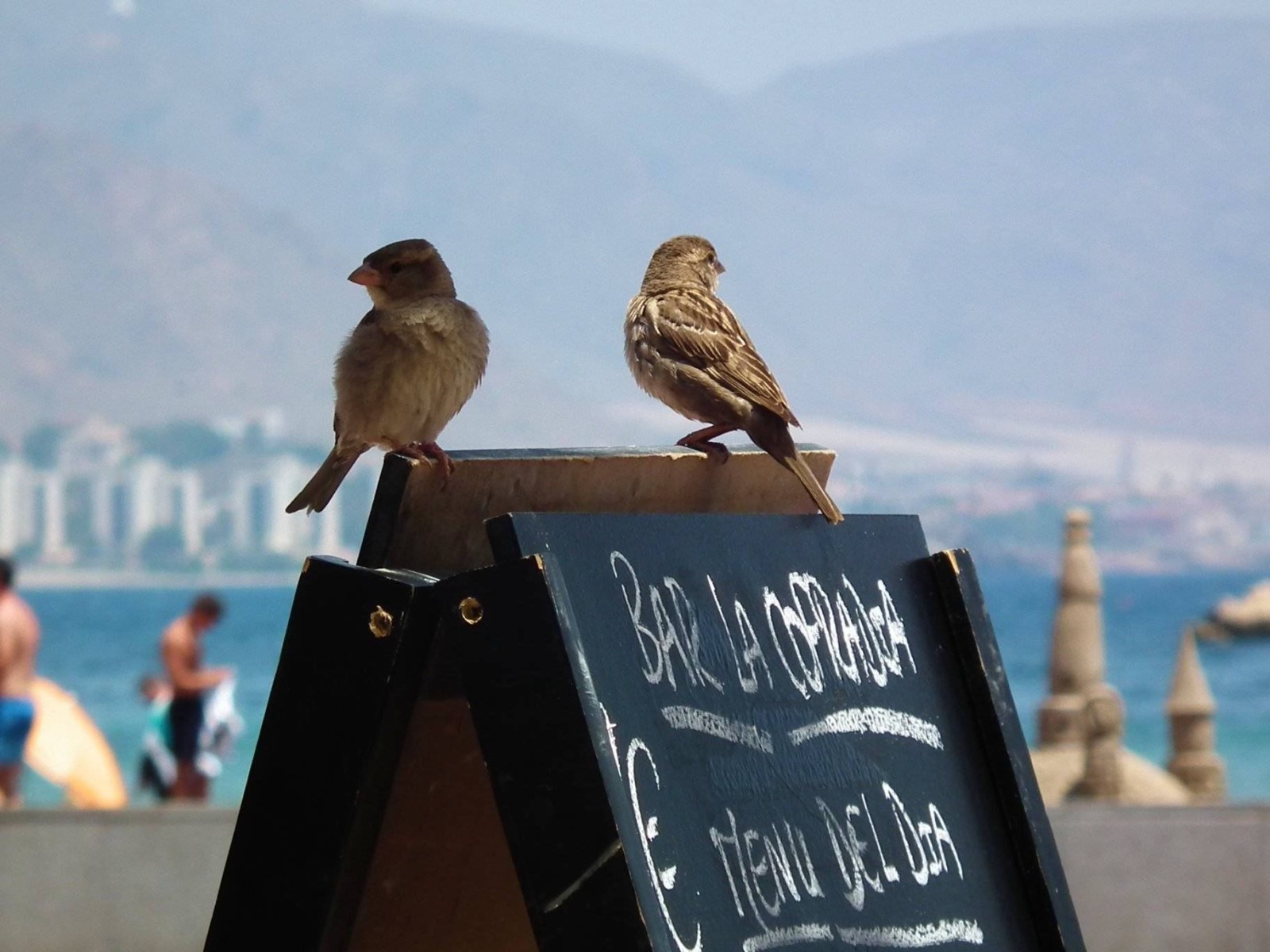 By The Seaside