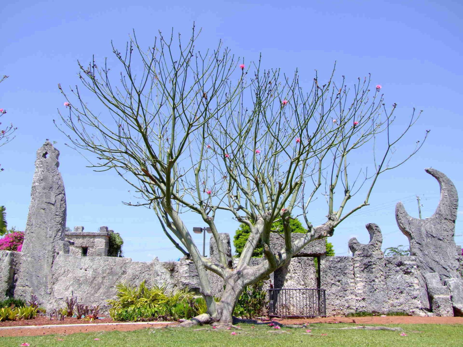 Outside Coral Castle 