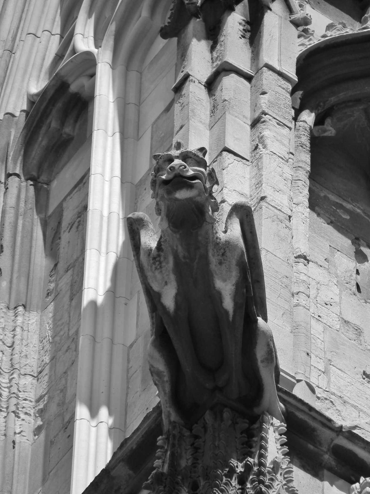 Gargoyle Watcher