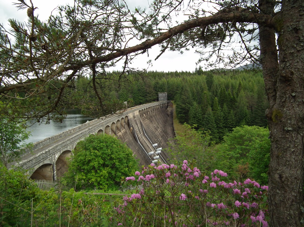 Dam