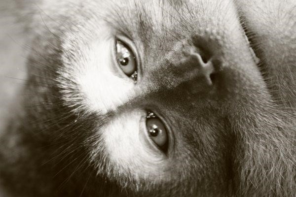 Loving eyes