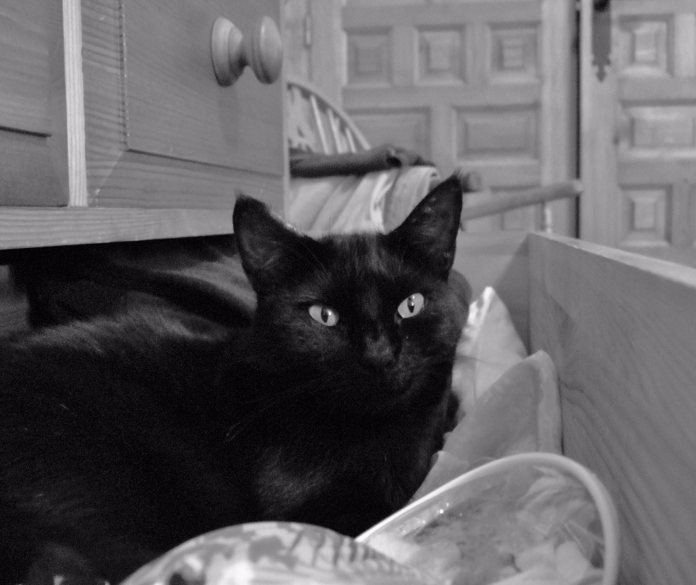 Cosy Drawers