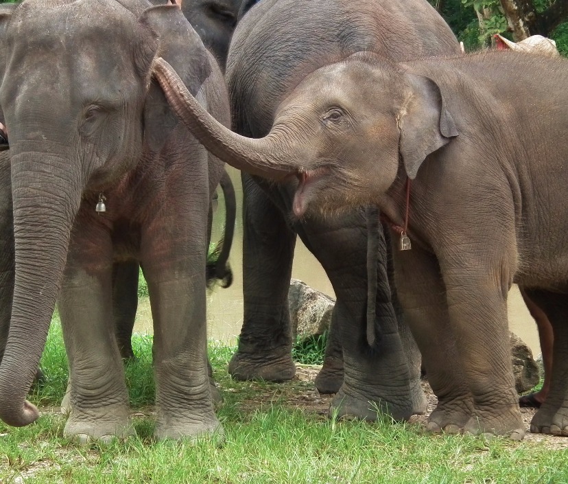 Shhhh..listen to this mum