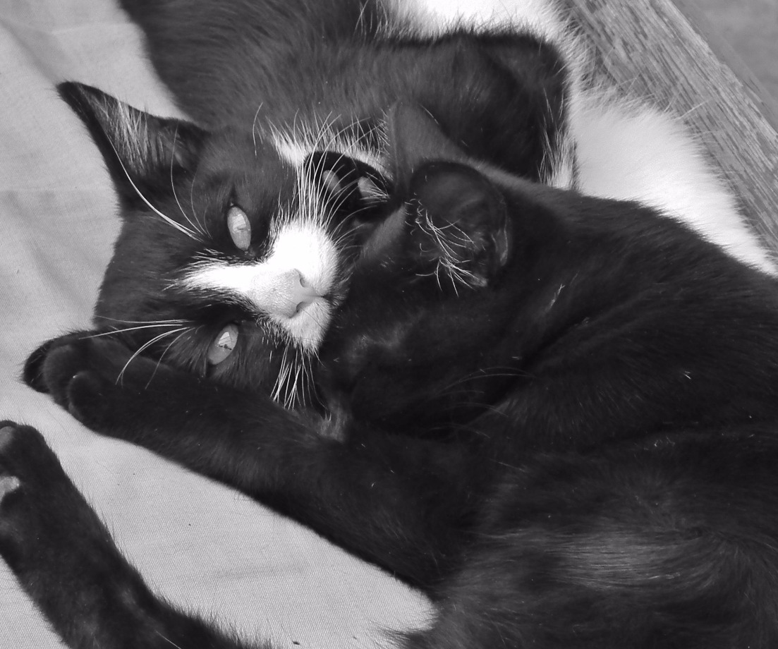Cuddle Time