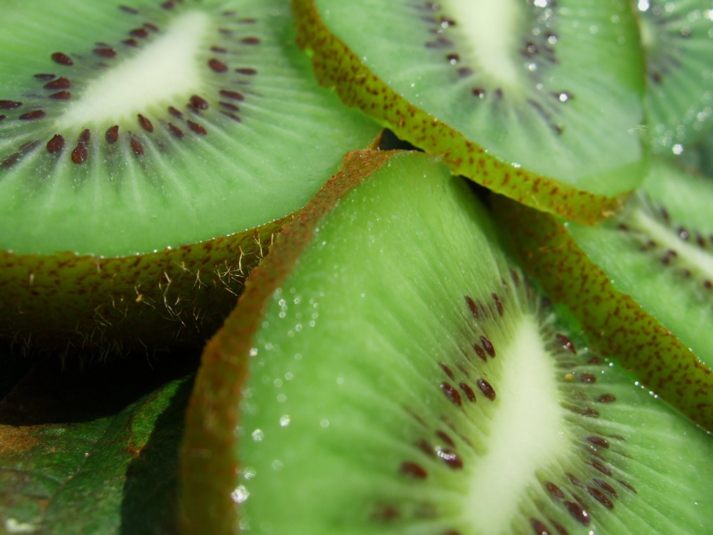 Kiwi Fruit