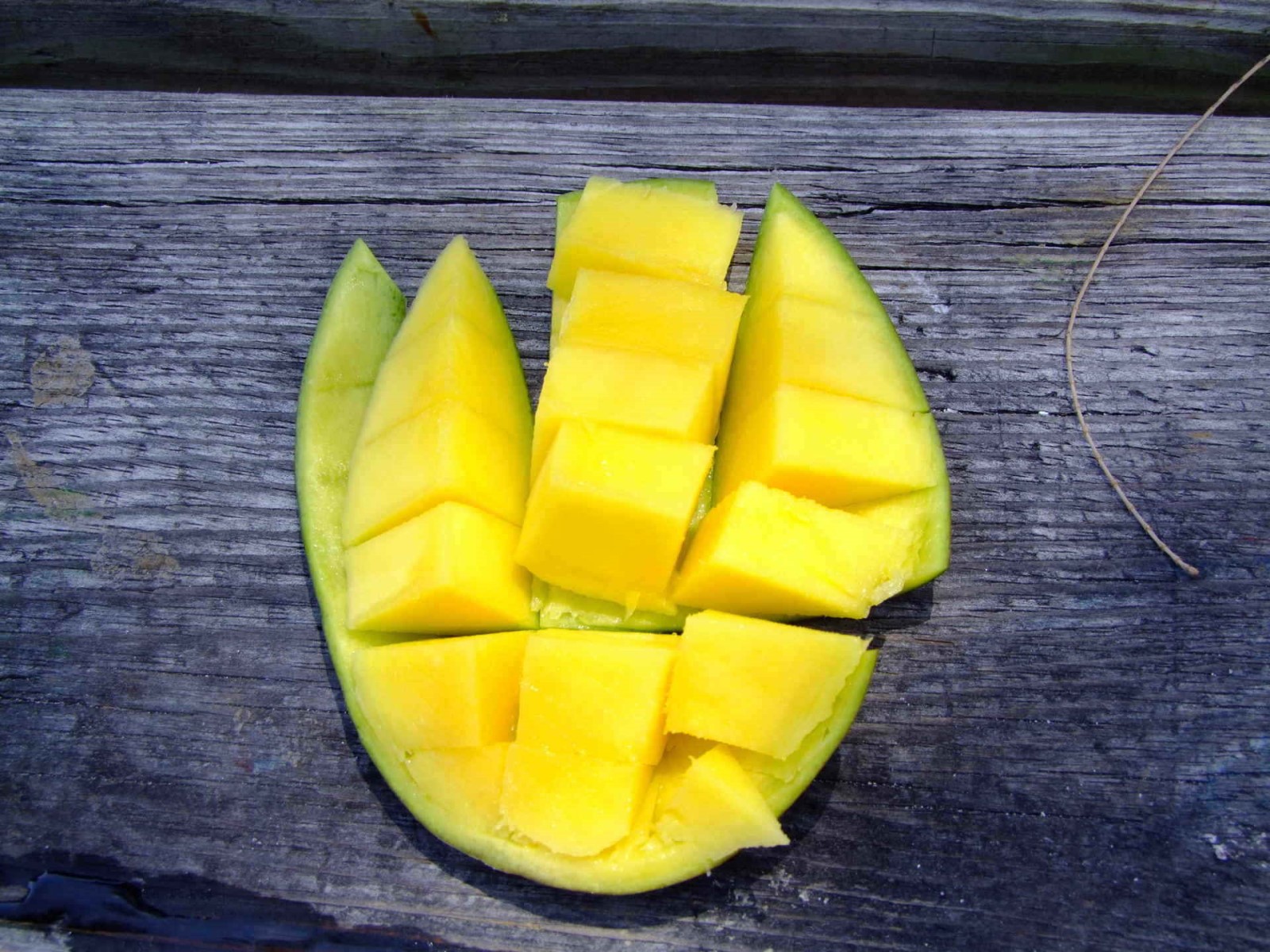 Mango Fruit
