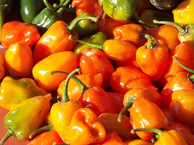 Scotch Bonnets