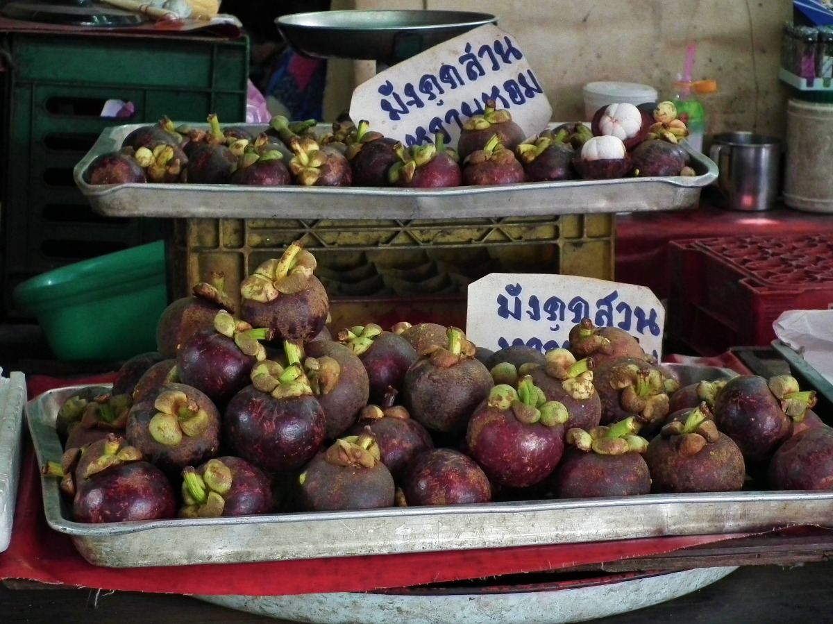 Purple Mangosteen