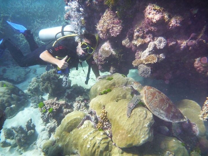 Diving Fun