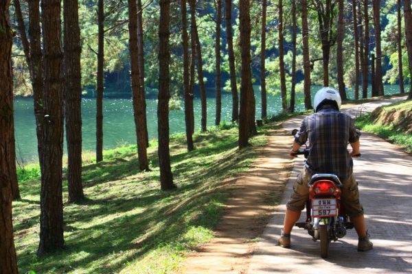Scooter Drives
