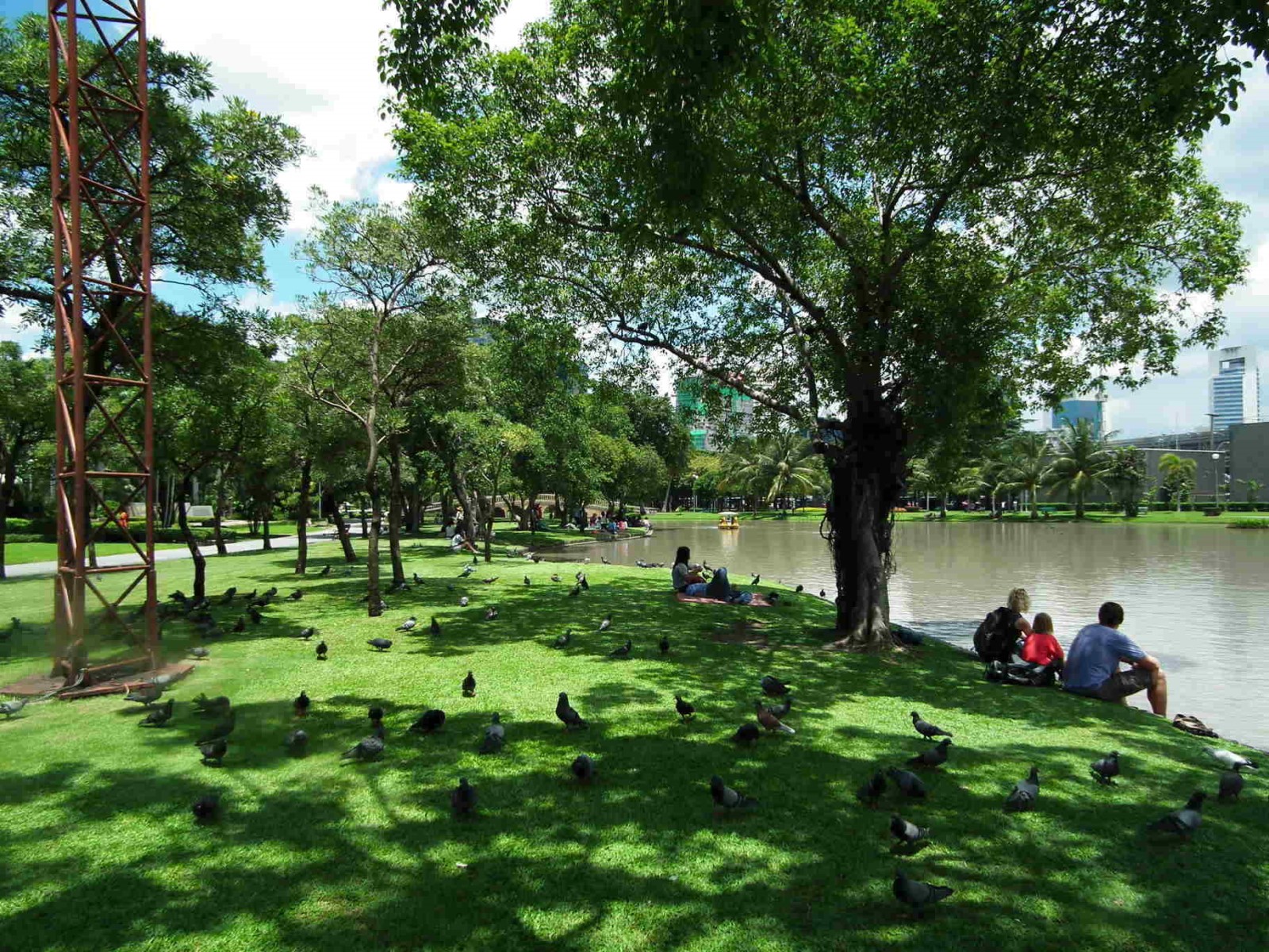 Picnic In The Park
