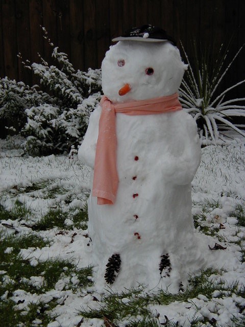 Snowman