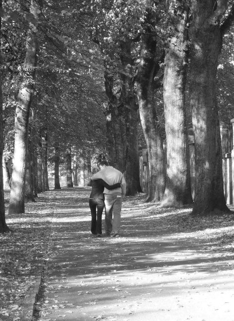 Walk In The Park