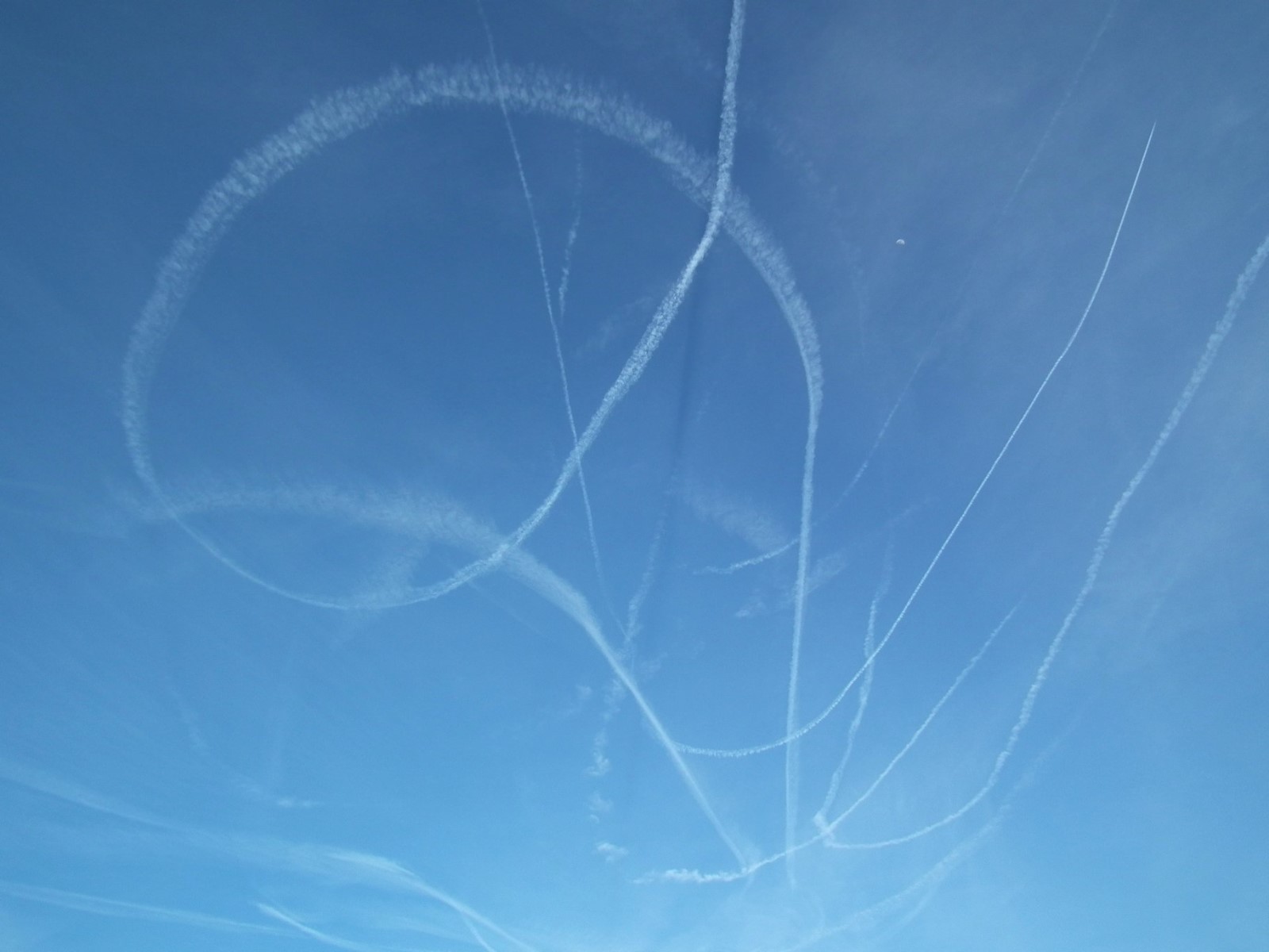 Flying High