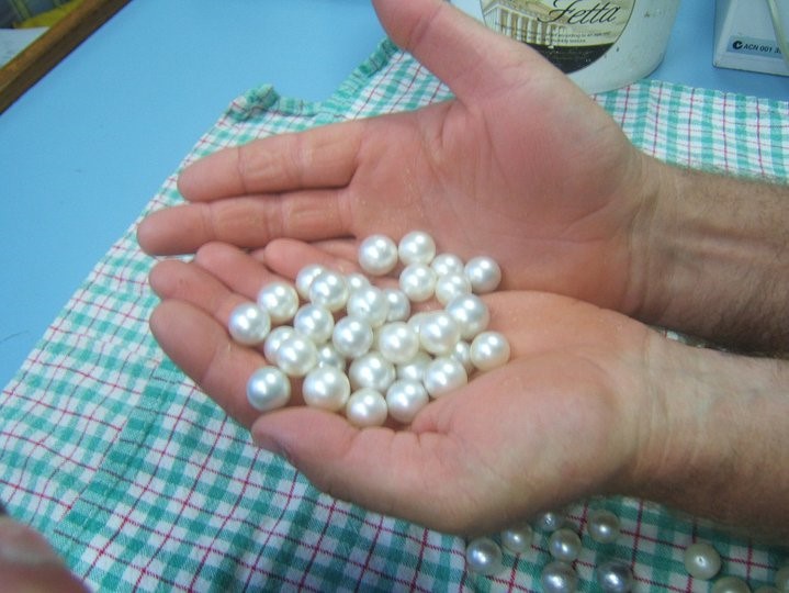 Pearl Hunting