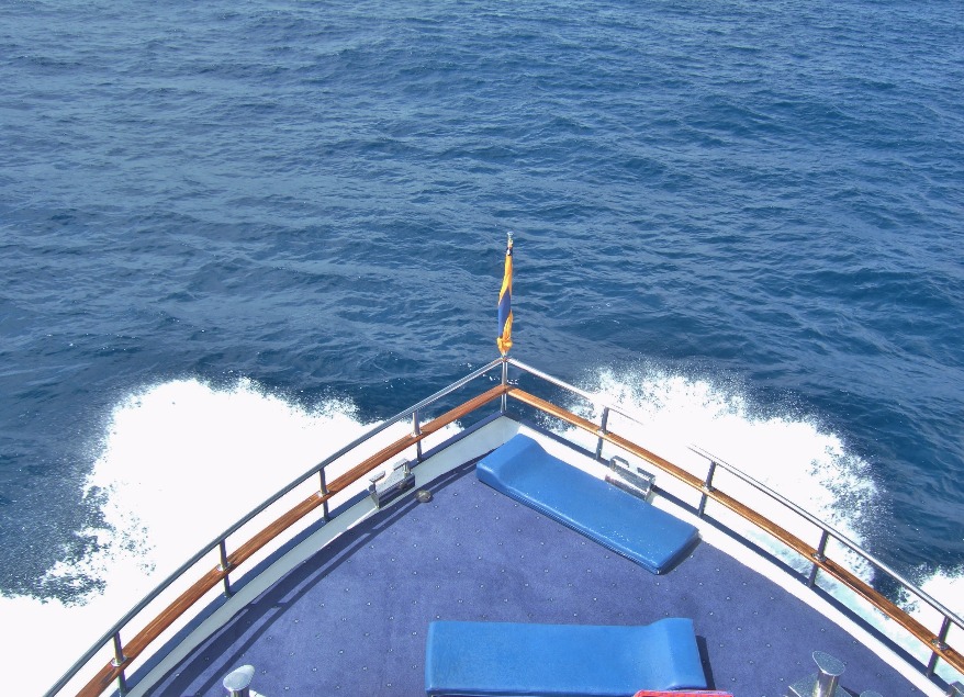 Cruise Ship