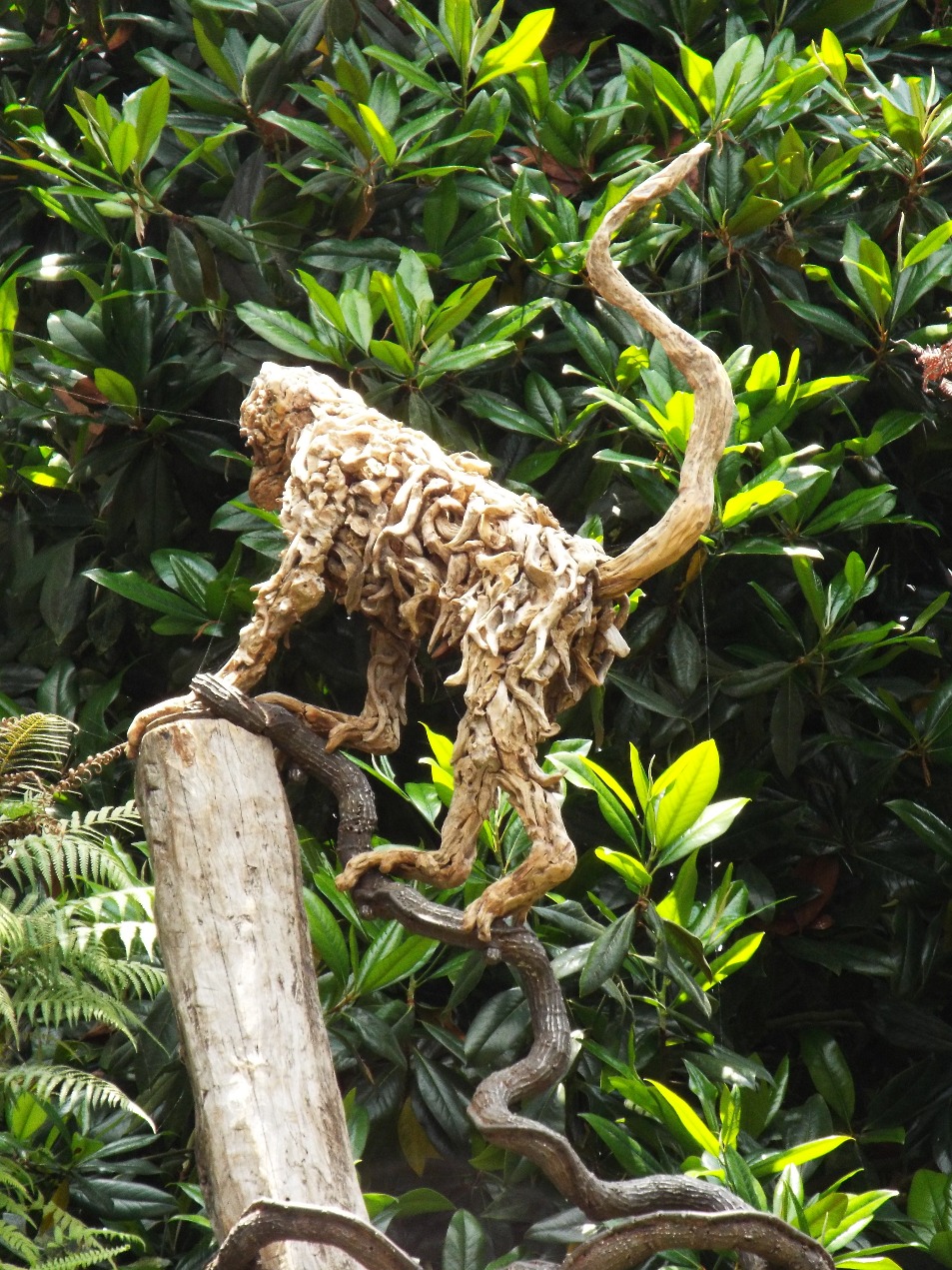 Climbing In The Trees