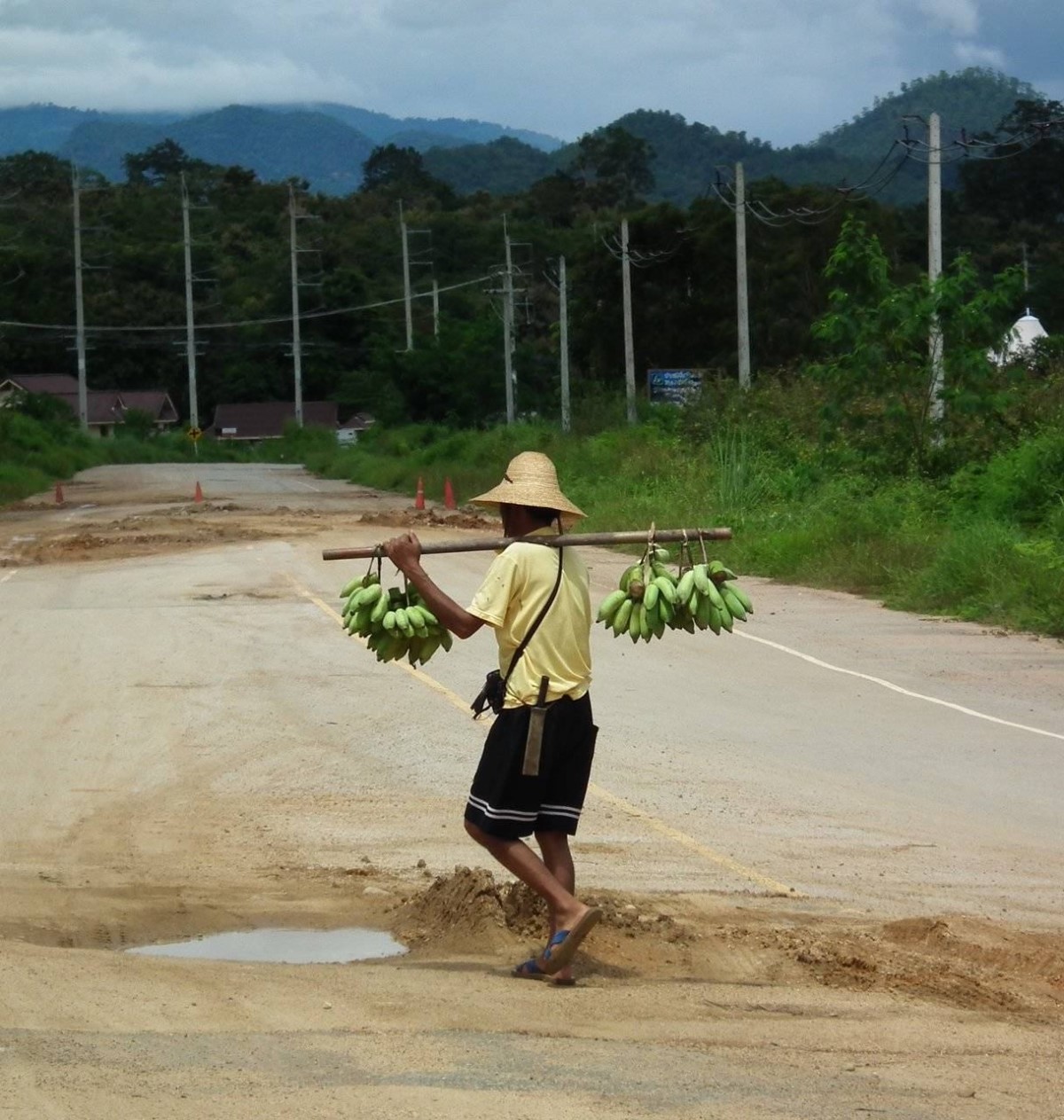 Banana Carrier