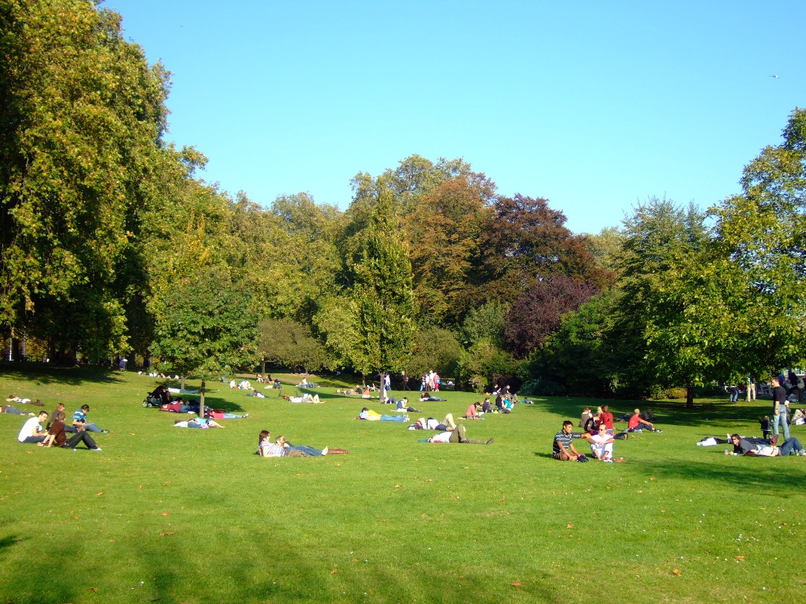 Summer In The Park